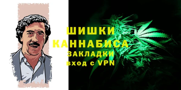 прущие грибы Инсар