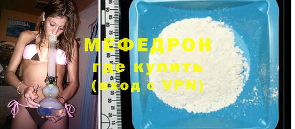 spice Инта