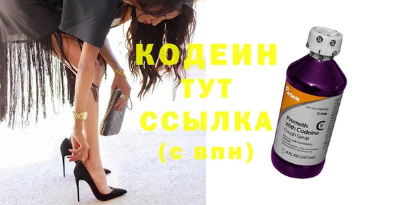 spice Инта