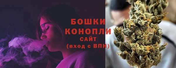прущие грибы Инсар