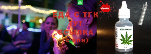 spice Инта