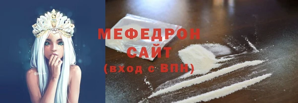 spice Инта