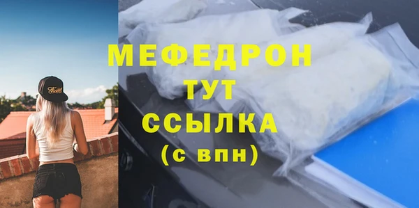 spice Инта