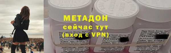 прущие грибы Инсар