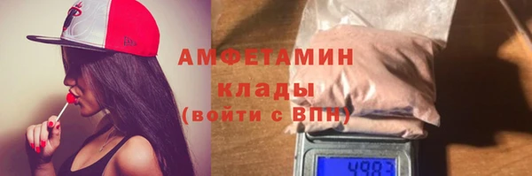 spice Инта