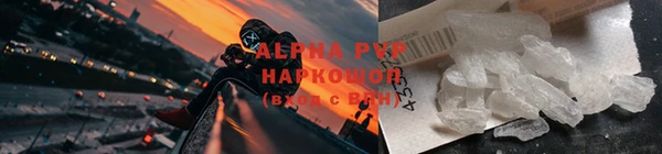 spice Инта