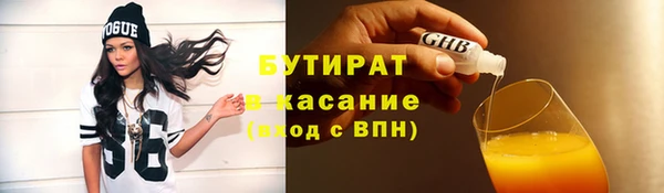 прущие грибы Инсар