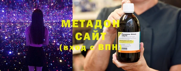 прущие грибы Инсар