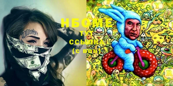 spice Инта
