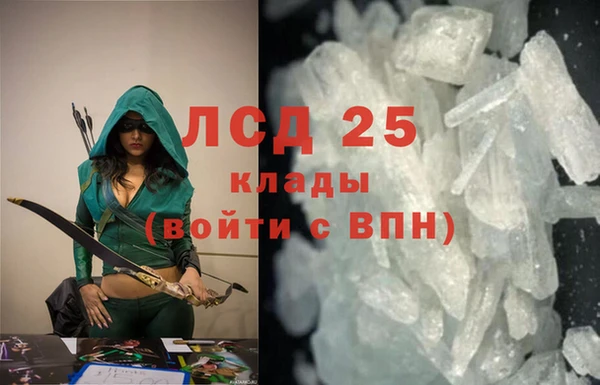 прущие грибы Инсар
