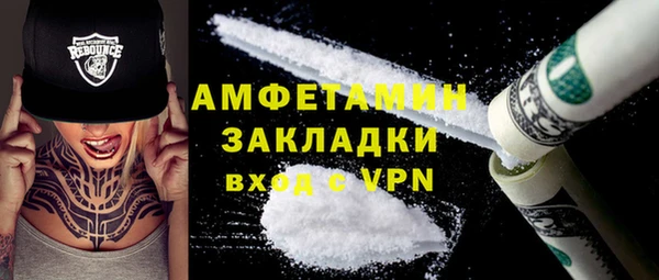 spice Инта