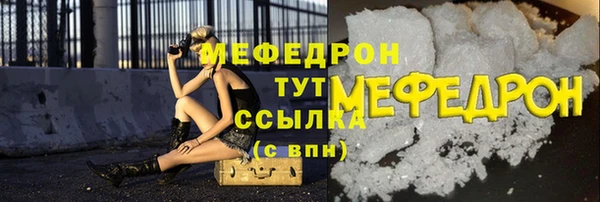spice Инта